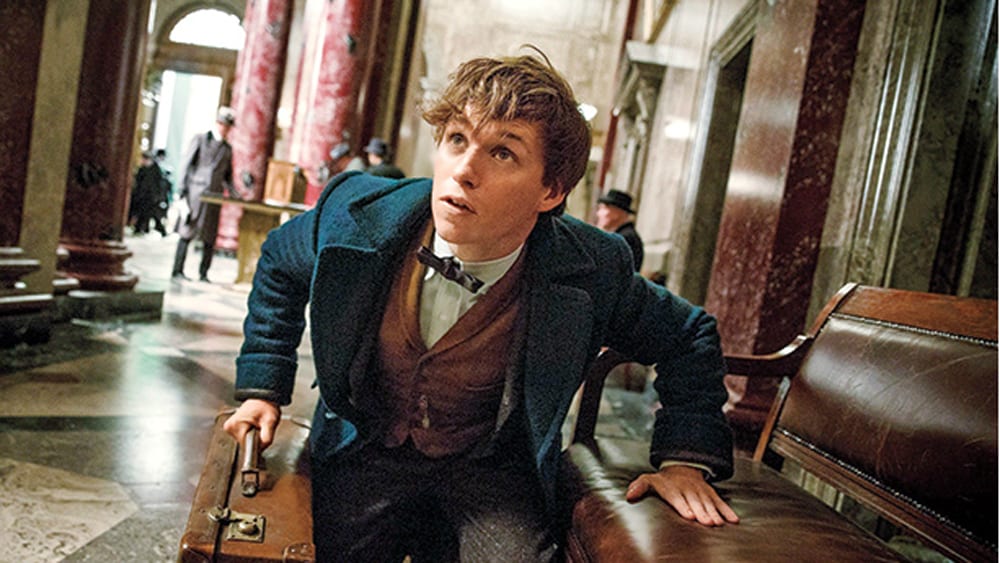fantastic-beasts-and-where-to-find-them-eddie-redmayne