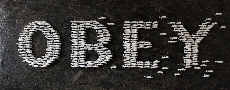 ''obey'' 300 sheep-models, epoxy resin, waste ink, screws and wire on found wood 200x80cm